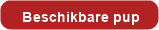 Beschikbare pup Tollentler